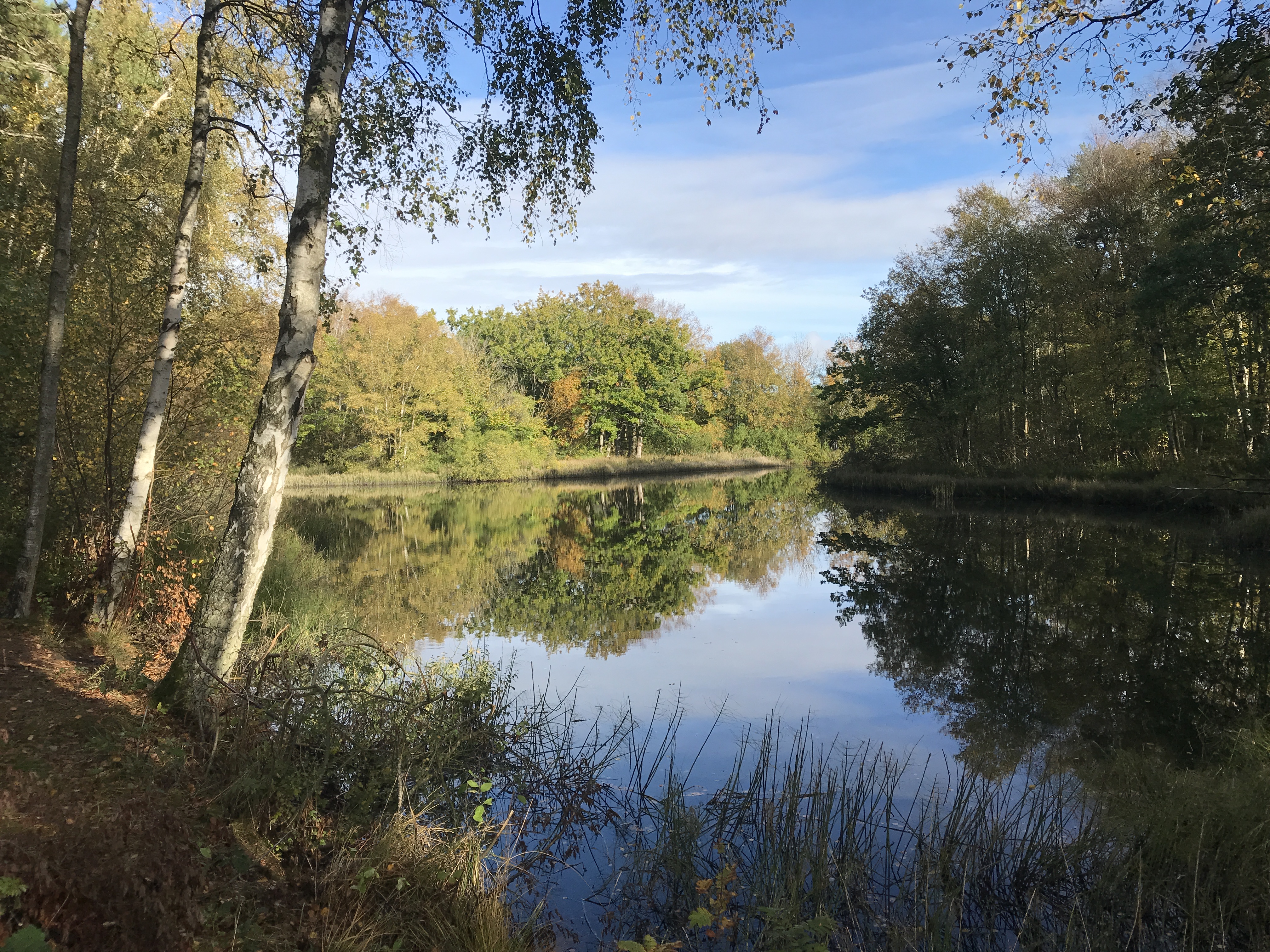 Styrsö, Korsedammen